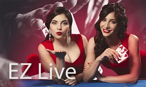 Live Casino Experience